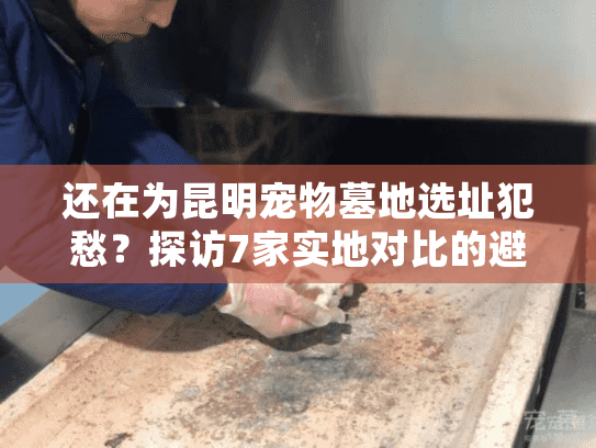 还在为昆明宠物墓地选址犯愁?探访7家实地对比的避坑清单 还在为昆明宠物墓地选址犯愁?探访7家实地对比的避坑清单