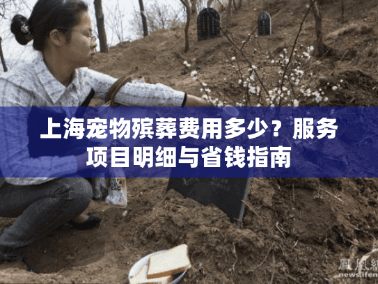 上海宠物殡葬费用多少？服务项目明细与省钱指南