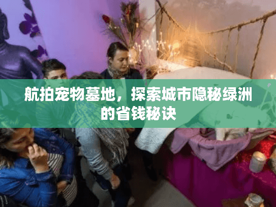 航拍宠物墓地，探索城市隐秘绿洲的省钱秘诀