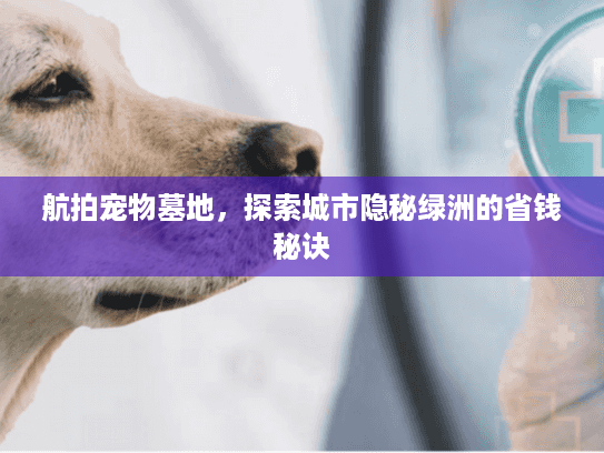 航拍宠物墓地，探索城市隐秘绿洲的省钱秘诀