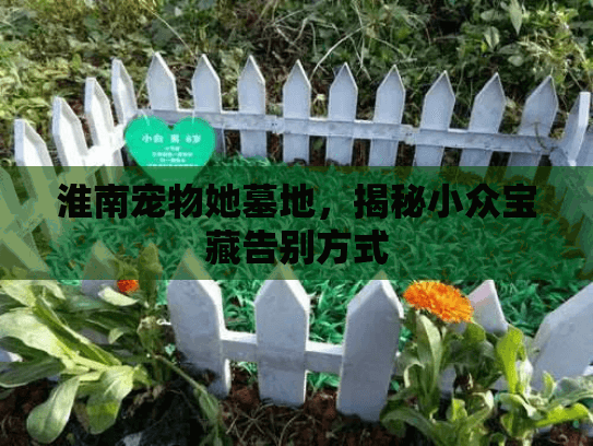 淮南宠物她墓地，揭秘小众宝藏告别方式