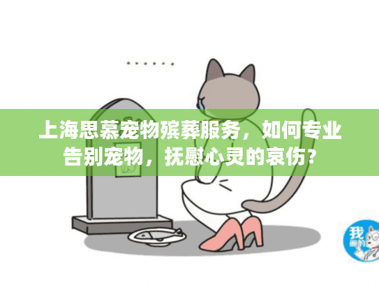 上海思慕宠物殡葬服务，如何专业告别宠物，抚慰心灵的哀伤？