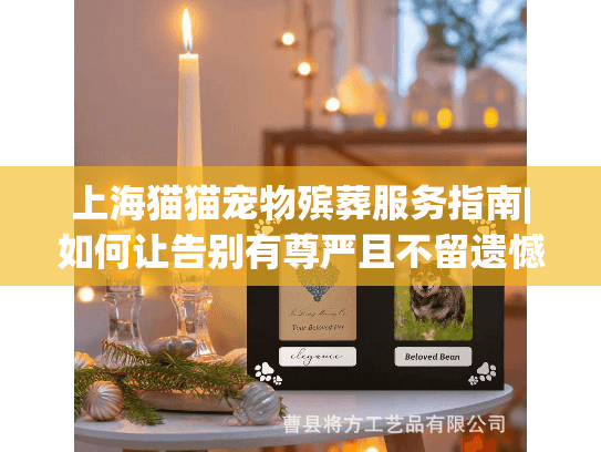 上海猫猫宠物殡葬服务指南|如何让告别有尊严且不留遗憾？