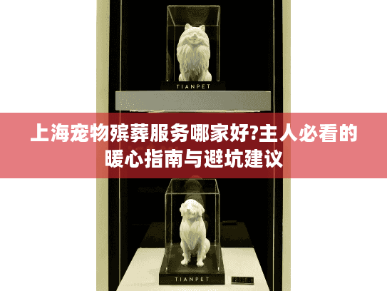 上海宠物殡葬服务哪家好?主人必看的暖心指南与避坑建议