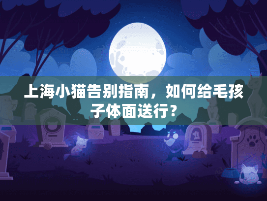 上海小猫告别指南，如何给毛孩子体面送行？