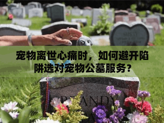 宠物离世心痛时，如何避开陷阱选对宠物公墓服务？