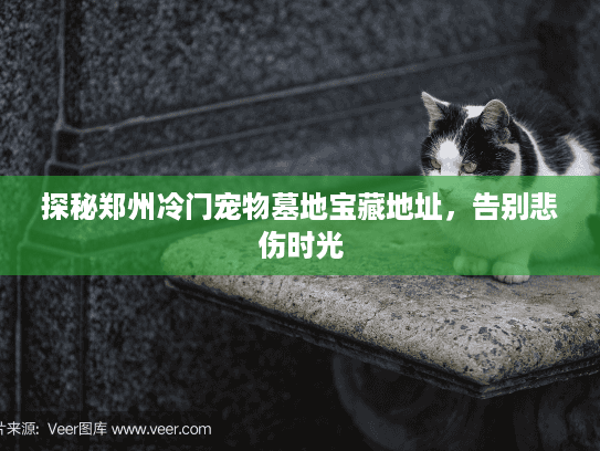 探秘郑州冷门宠物墓地宝藏地址，告别悲伤时光