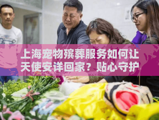 上海宠物殡葬服务如何让天使安详回家？贴心守护温暖告别时刻