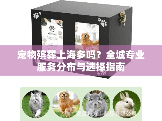 宠物殡葬上海多吗？全城专业服务分布与选择指南