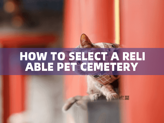HOW TO SELECT A RELIABLE PET CEMETERY HOW TO SELECT A RELIABLE PET CEMETERY