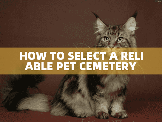 HOW TO SELECT A RELIABLE PET CEMETERY HOW TO SELECT A RELIABLE PET CEMETERY