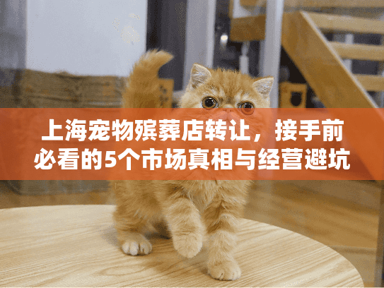 上海宠物殡葬店转让，接手前必看的5个市场真相与经营避坑指南