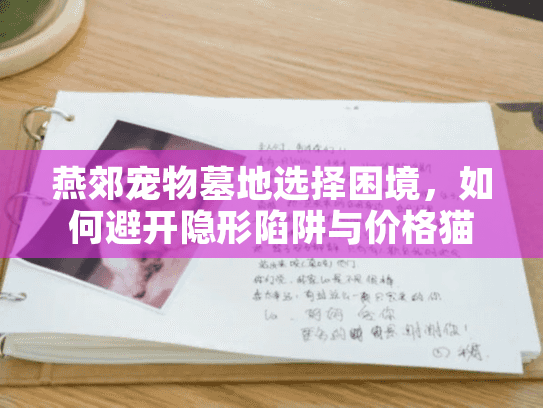燕郊宠物墓地选择困境，如何避开隐形陷阱与价格猫腻？