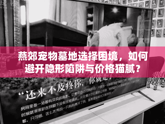 燕郊宠物墓地选择困境，如何避开隐形陷阱与价格猫腻？