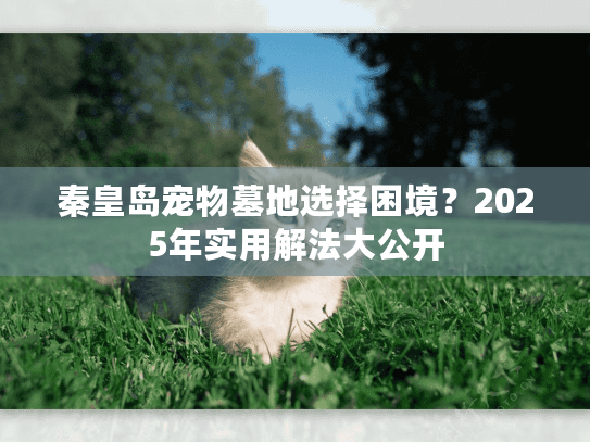 秦皇岛宠物墓地选择困境?2025年实用解法大公开 秦皇岛宠物墓地选择困境?2025年实用解法大公开