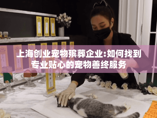 上海创业宠物殡葬企业:如何找到专业贴心的宠物善终服务