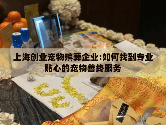 上海创业宠物殡葬企业:如何找到专业贴心的宠物善终服务