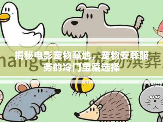 揭秘电影宠物墓地，宠物安葬服务的冷门宝藏选择