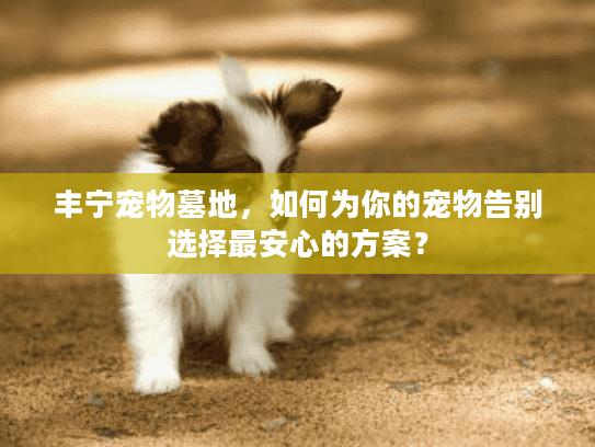 丰宁宠物墓地，如何为你的宠物告别选择最安心的方案？