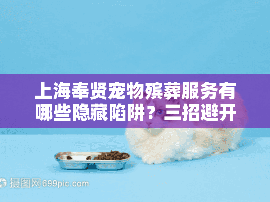 上海奉贤宠物殡葬服务有哪些隐藏陷阱？三招避开高价低质
