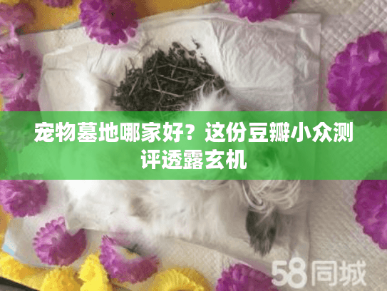 宠物墓地哪家好？这份豆瓣小众测评透露玄机