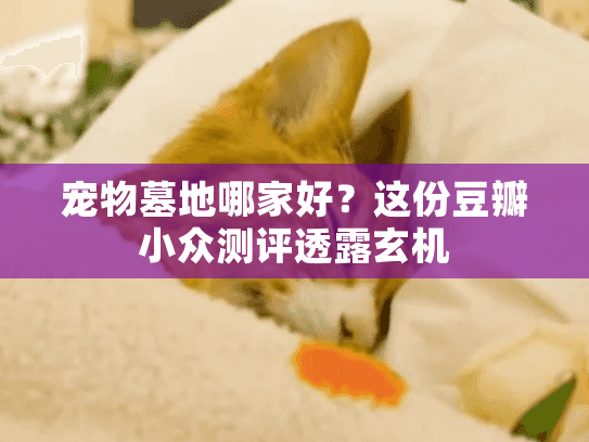 宠物墓地哪家好？这份豆瓣小众测评透露玄机