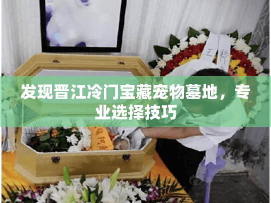 发现晋江冷门宝藏宠物墓地，专业选择技巧