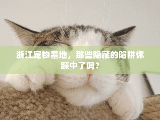 浙江宠物墓地，那些隐藏的陷阱你踩中了吗？