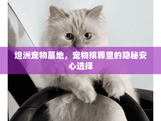 坦洲宠物墓地，宠物殡葬里的隐秘安心选择