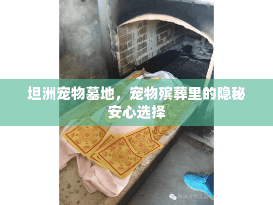 坦洲宠物墓地，宠物殡葬里的隐秘安心选择