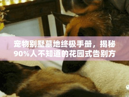 宠物别墅墓地终极手册，揭秘90%人不知道的花园式告别方案