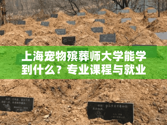 上海宠物殡葬师大学能学到什么？专业课程与就业前景解析