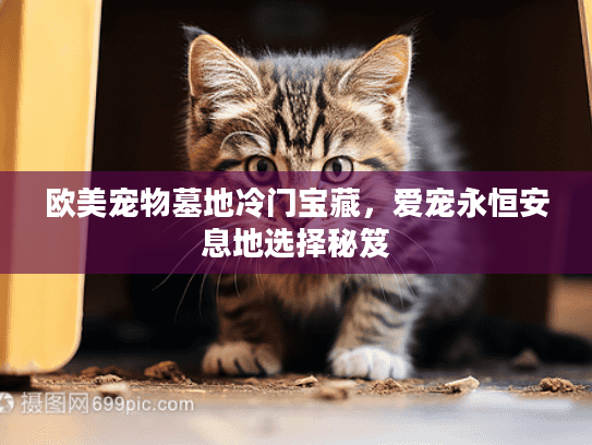 欧美宠物墓地冷门宝藏，爱宠永恒安息地选择秘笈