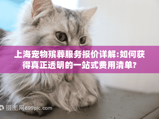 上海宠物殡葬服务报价详解:如何获得真正透明的一站式费用清单?