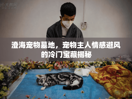 澄海宠物墓地，宠物主人情感避风的冷门宝藏揭秘