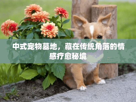 中式宠物墓地，藏在传统角落的情感疗愈秘境
