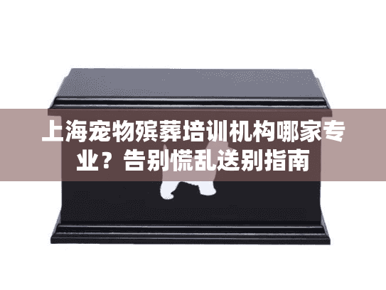 上海宠物殡葬培训机构哪家专业？告别慌乱送别指南