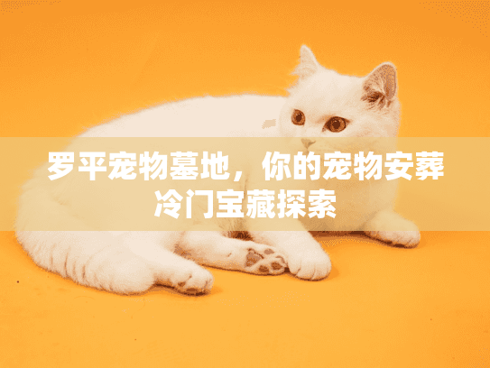 罗平宠物墓地，你的宠物安葬冷门宝藏探索