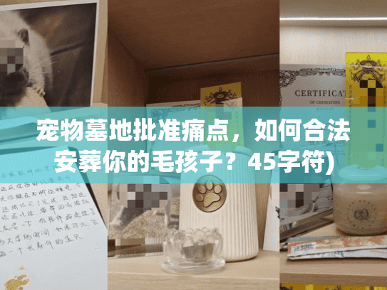宠物墓地批准痛点，如何合法安葬你的毛孩子？45字符)