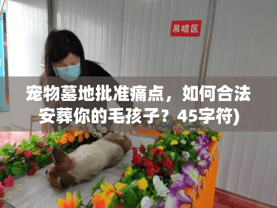 宠物墓地批准痛点，如何合法安葬你的毛孩子？45字符)