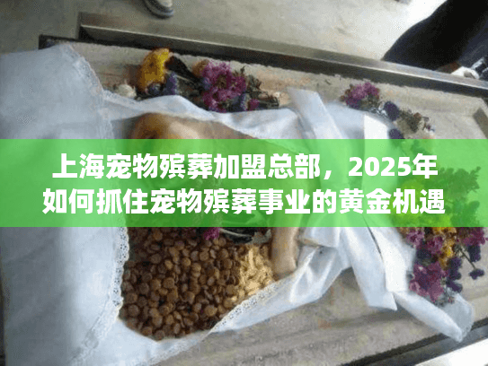 上海宠物殡葬加盟总部，2025年如何抓住宠物殡葬事业的黄金机遇？