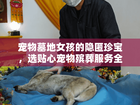 宠物墓地女孩的隐匿珍宝，选贴心宠物殡葬服务全攻略