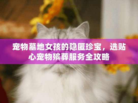 宠物墓地女孩的隐匿珍宝，选贴心宠物殡葬服务全攻略