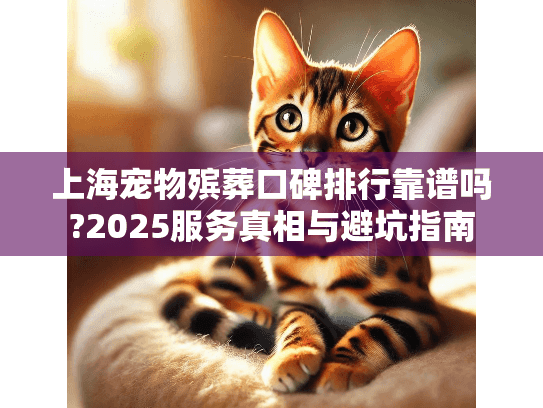 上海宠物殡葬口碑排行靠谱吗?2025服务真相与避坑指南
