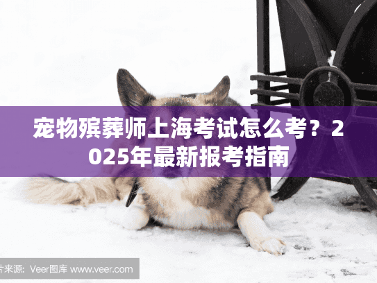 宠物殡葬师上海考试怎么考？2025年最新报考指南