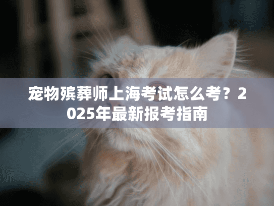 宠物殡葬师上海考试怎么考？2025年最新报考指南