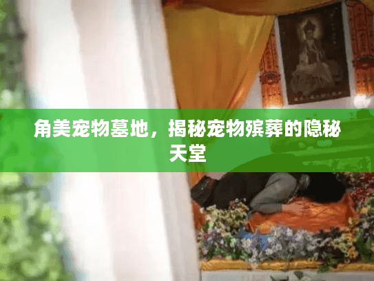 角美宠物墓地，揭秘宠物殡葬的隐秘天堂