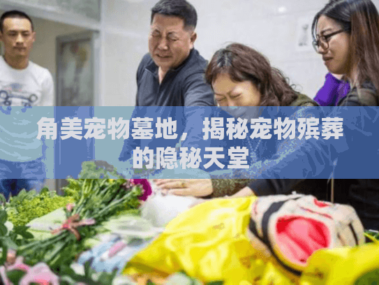 角美宠物墓地，揭秘宠物殡葬的隐秘天堂