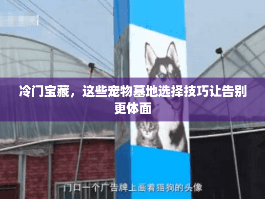 冷门宝藏，这些宠物墓地选择技巧让告别更体面