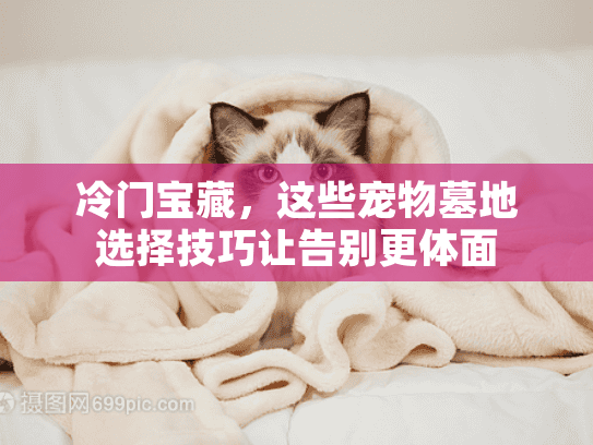 冷门宝藏，这些宠物墓地选择技巧让告别更体面